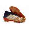 Fotbollsskor adidas Predator 19.1 FG för Herrar - Guld Röd Silver