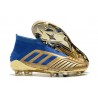 adidas Predator 19+ FG Fotbollsskor för Herrar - Guld Blå