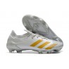 Fotbollsskor Adidas Predator 20.1 Low FG Vit Guld